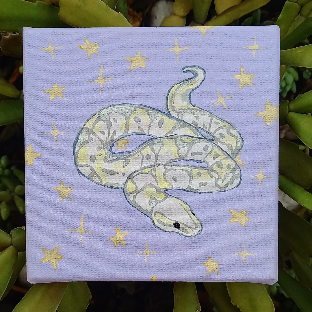 desenhos_da_ca's tweet photo. E esse pedido do tiktok?
#art #artist #arte #artista #desenho #drawing #pintura #painting #desenhosdaca  #animal #animals #amateur #tela #canvas #nature #natureza #tiktok #acrilicpainting #cobra #snake https://t.co/GGNY0r0dp9