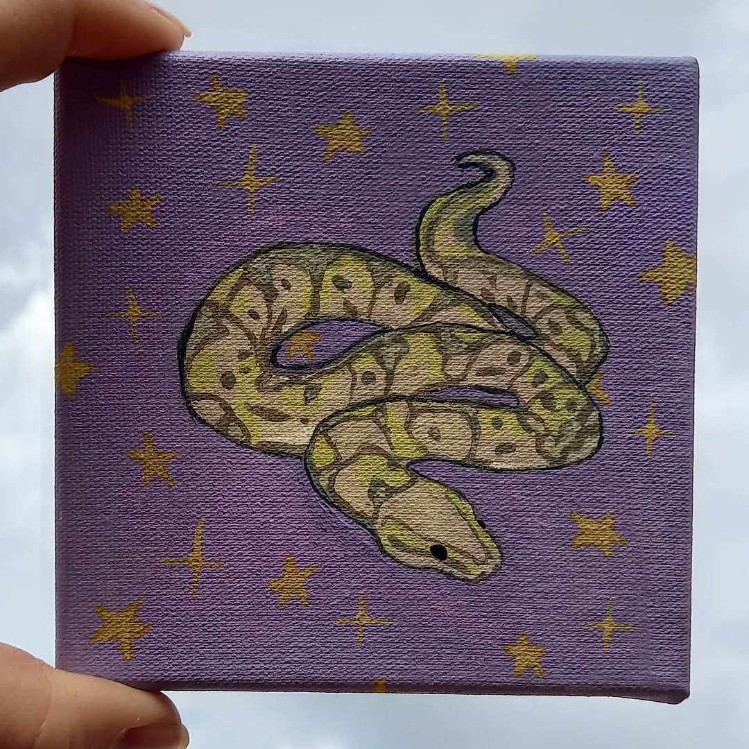 desenhos_da_ca's tweet photo. E esse pedido do tiktok?
#art #artist #arte #artista #desenho #drawing #pintura #painting #desenhosdaca  #animal #animals #amateur #tela #canvas #nature #natureza #tiktok #acrilicpainting #cobra #snake https://t.co/GGNY0r0dp9
