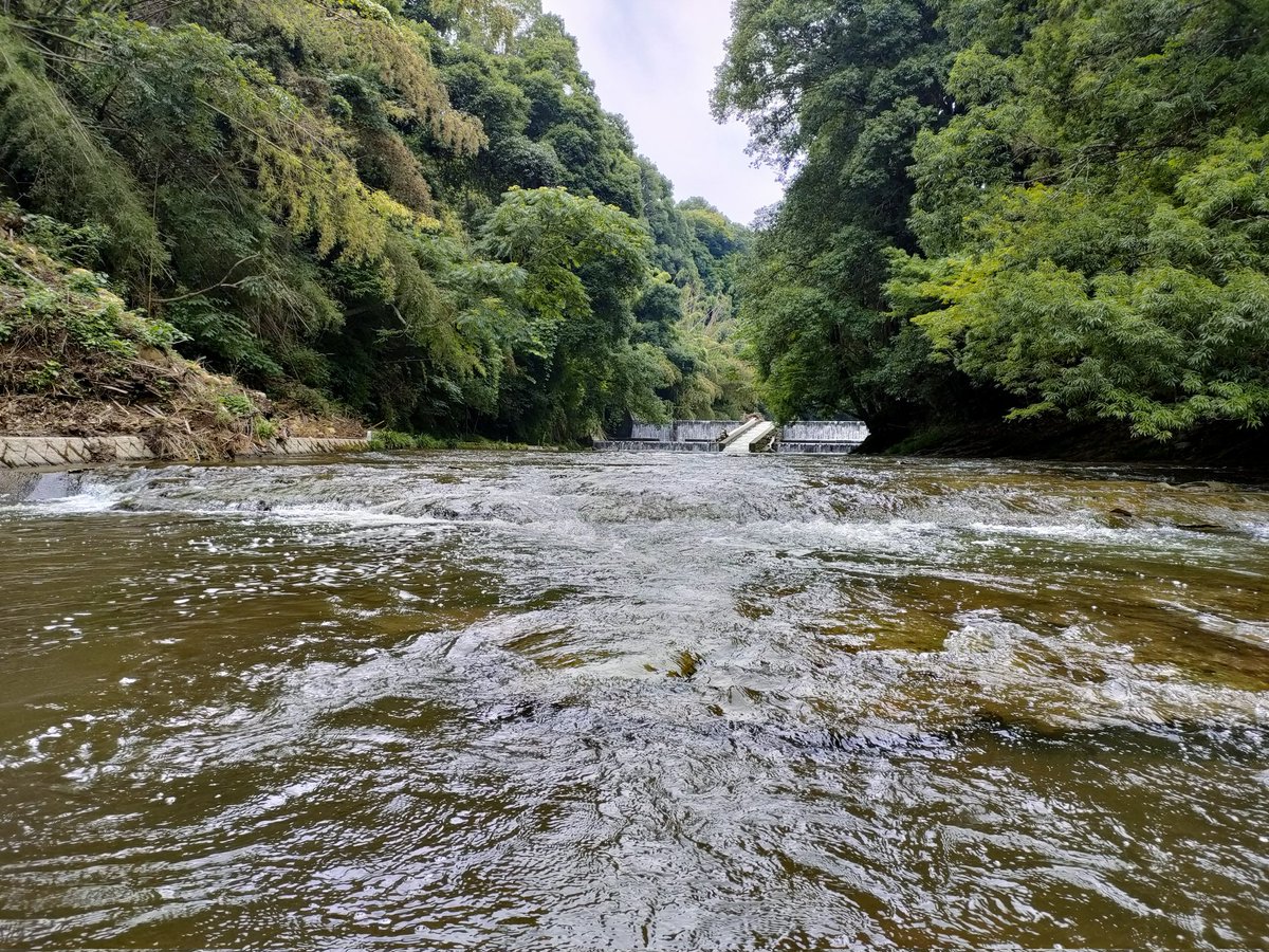 zakuchachamaru's tweet photo. この夏、ジャングルに行ってきた、
ジャングルの大河を遡った先にある人工物。
まだまだ未開の地は（千葉）凄い
#カヤック #夏　#kyak  #summer https://t.co/fhwMu4gftK