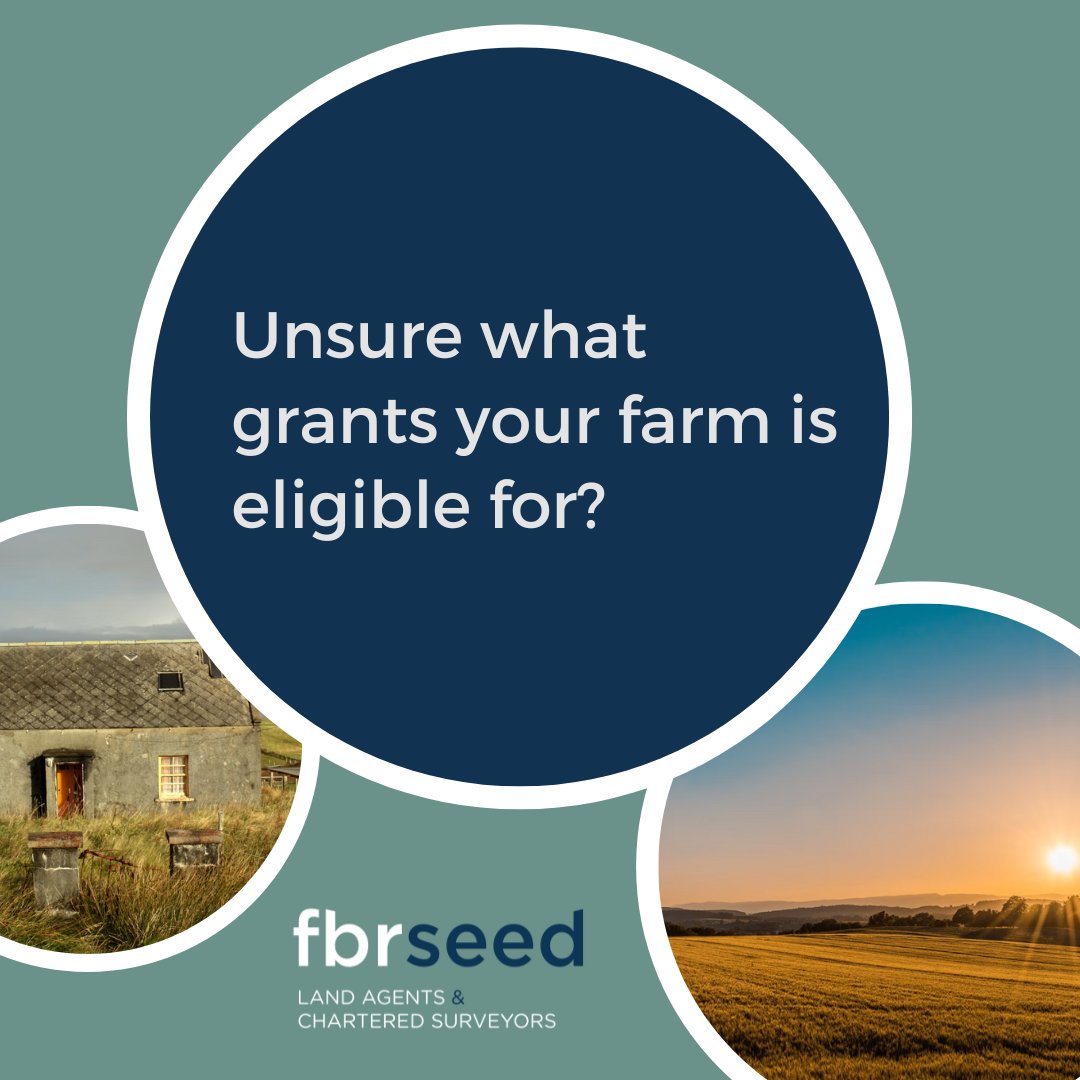 Our team has in-depth knowledge about the grants, subsidies and financial support available for your rural business. We keep up to date with changing legislation and can make sure your application is tailored to its full potential. 

#farminguk #ukagriculture #agriculturegrants