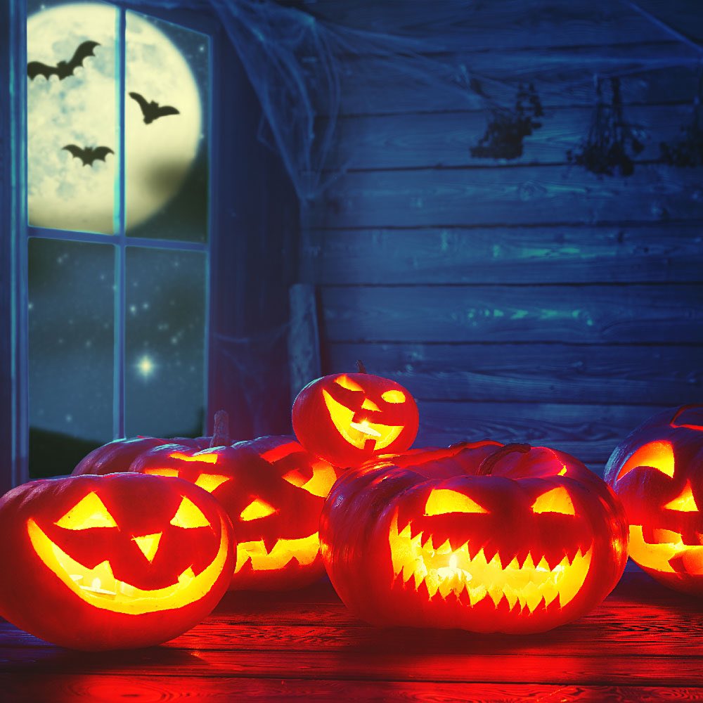 Dear All,
It is with regret, that due to personal circumstances, Undley Pumpkin Patch &amp; Maize Maze has been cancelled this year (2022).
We thank you for your understanding and hope to see you all again in 2023...
Thank you for all your support over the past years.