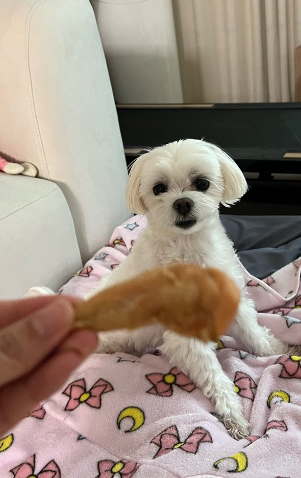 ㅈ (@psymsgmedia) on Twitter photo 