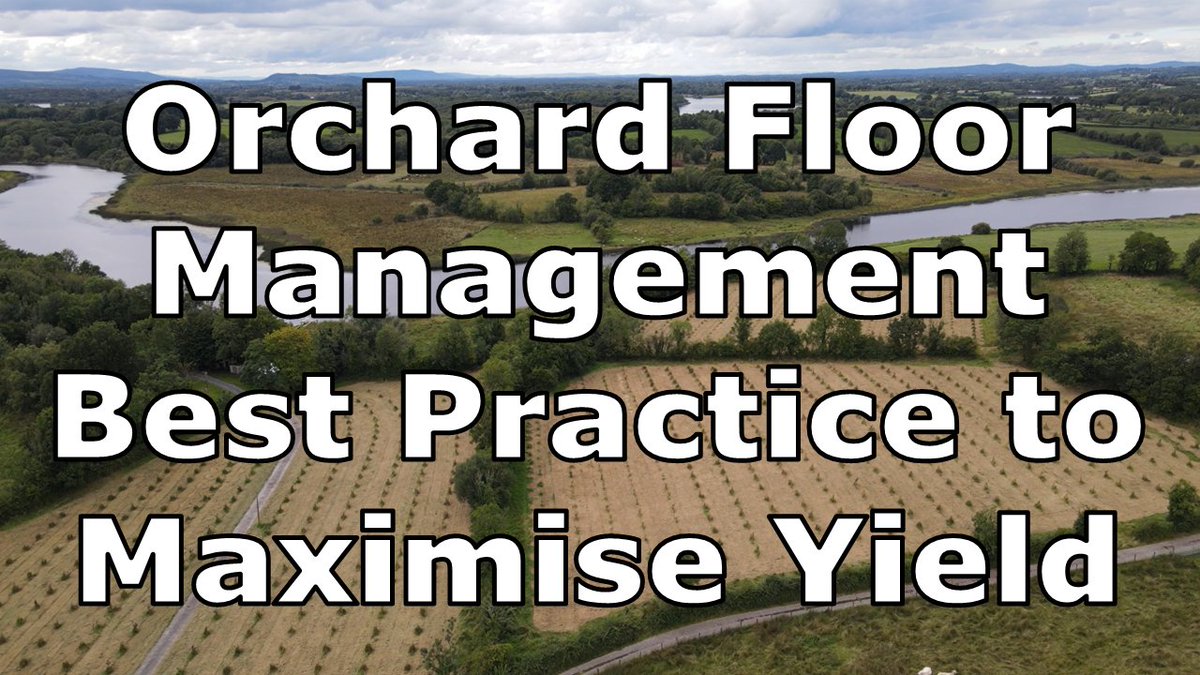 GubbFarm's tweet photo. I have been reviewing scientific research papers on orchard floor management strategies to help maximise yields. It is very interesting comparing the various approaches and the results were surprising in many areas. 

https://t.co/uwkrMERion

#regenerativeagriculture #Farming https://t.co/pdE0WqZsEc