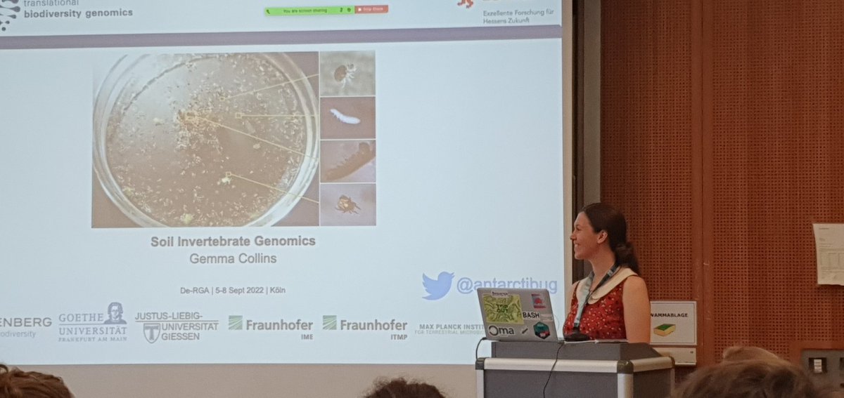 DeRGA (@dergabiodiv) on Twitter photo Back from lunch to another interesting talk about soil invertebrate genomes from <a href="/antarctibug/">Dr Gemma Collins (she/her) 🇳🇿</a> #dergaverse Back from lunch to another interesting talk about soil invertebrate genomes from <a href="/antarctibug/">Dr Gemma Collins (she/her) 🇳🇿</a> #dergaverse