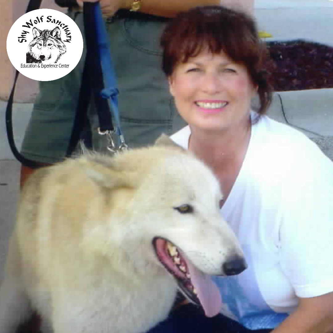 ShyWolfSanct's tweet photo. “It's about the animals. It's not about me. It's not about anybody. It's about the animals.” Nancy Smith, Shy Wolf Sanctuary Founder with Tehya (throwback) https://t.co/0OkyXULKuk
#ShyWolfSanctuary #SWS #SWFL #Florida #Naples #NancySmith #Tehya #Throwback https://t.co/PogplSfyQJ