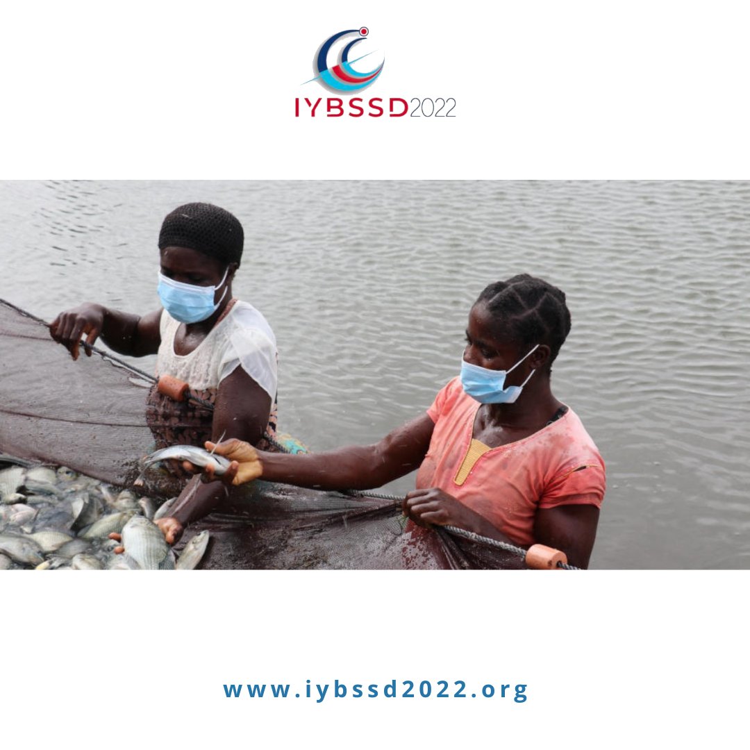 IYBSSD2022's tweet photo. 🇫🇷 Selon les auteurs d’un rapport historique, il faut donner la priorité à une utilisation plus durable des  espèces sauvages afin d’atteindre les objectifs de développement des @UN.
-
🌐 + d'Infos : https://t.co/ZJpaOwjvrc
#IYBSSD2022 #especesauvage #utilisationdurable https://t.co/iQYpSNLBfT