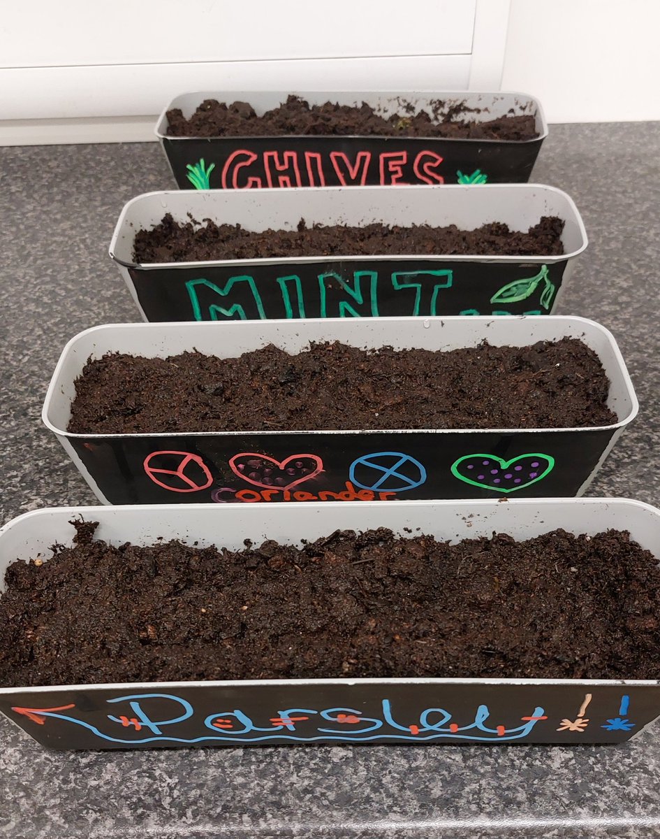 sneakycats's tweet photo. We have started our indoor herb garden. We painted some pots , decorated them and then we planted the seeds. Everyone is looking forward to seeing them grow 🌱 @Humber_QI @HumberNHSFT https://t.co/V54GZdCfks