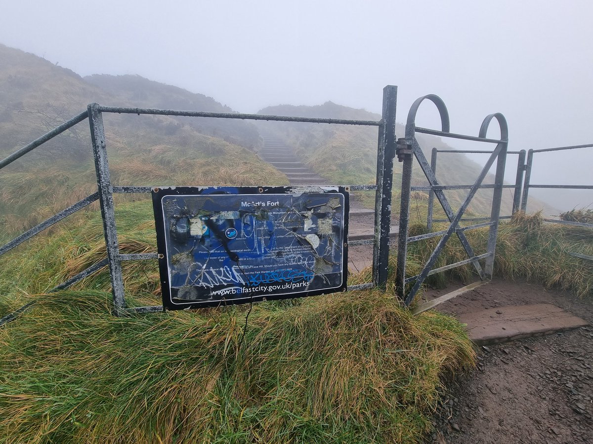 Orin Calder tweet media