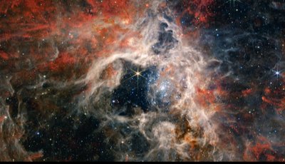 Dataclone2082's tweet photo. Tarantula Nebula by JW. 😯 #Space https://t.co/uT5sq5qYBS