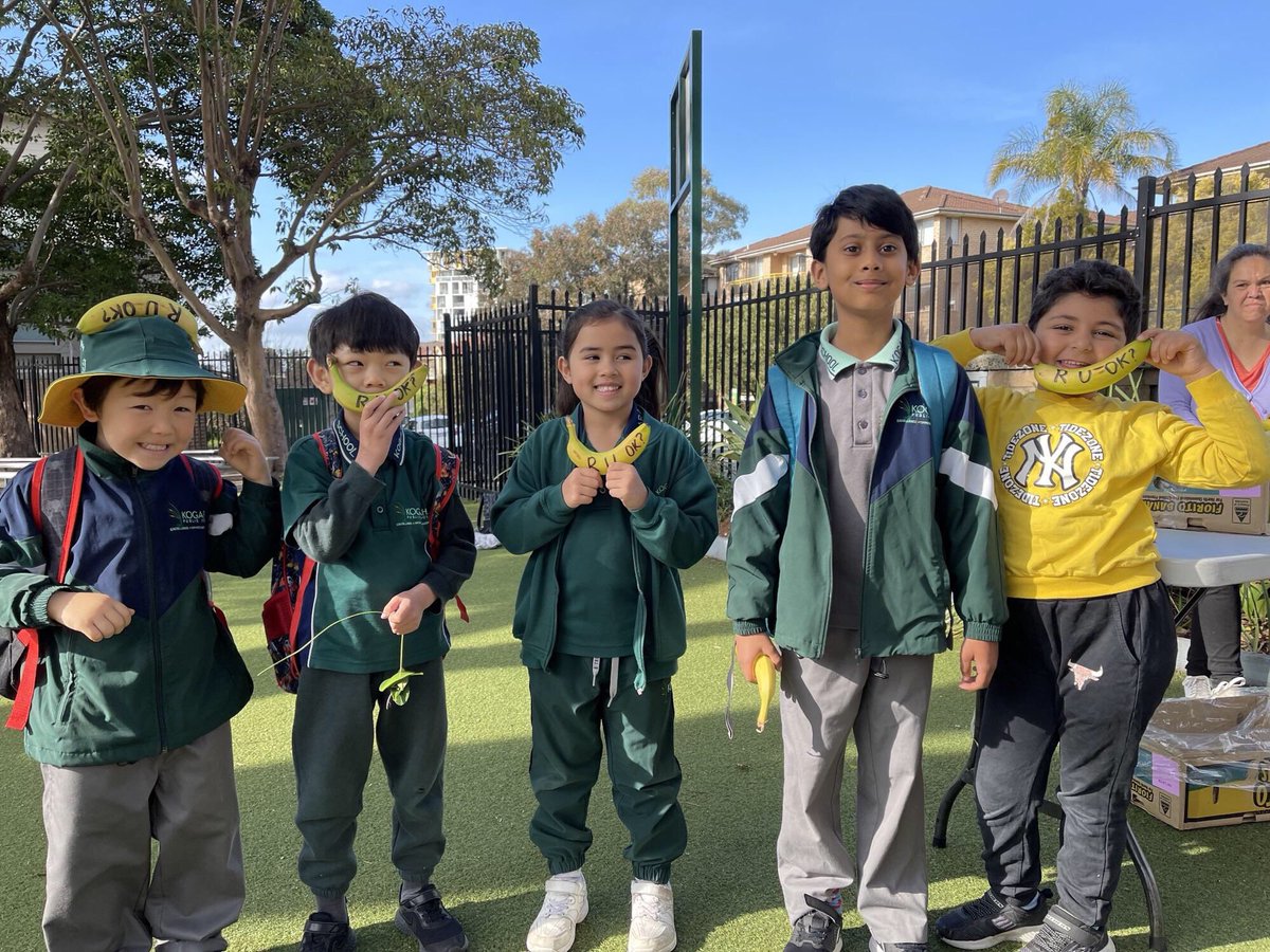 Kogarah Public School tweet media