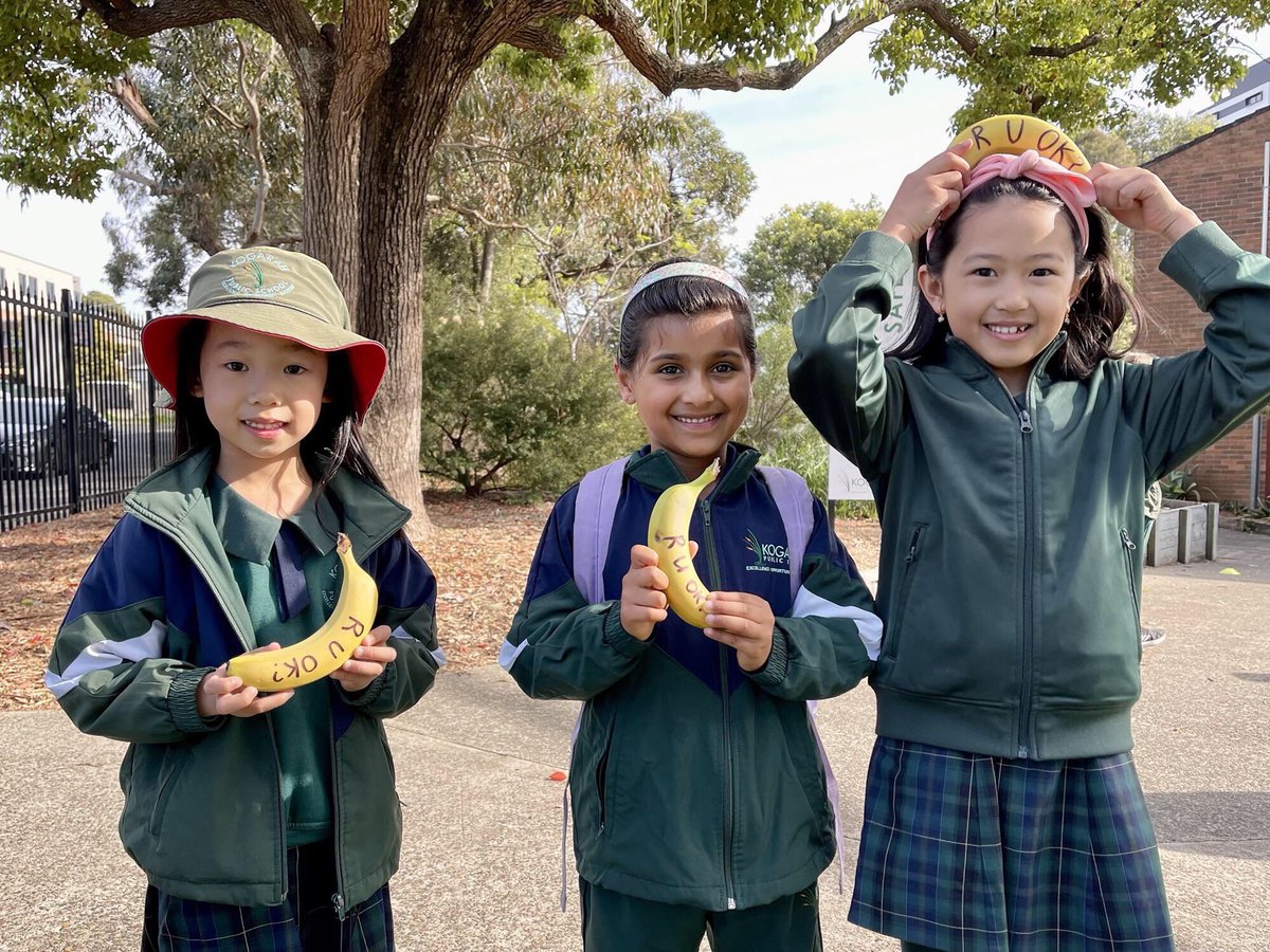 Kogarah Public School tweet media