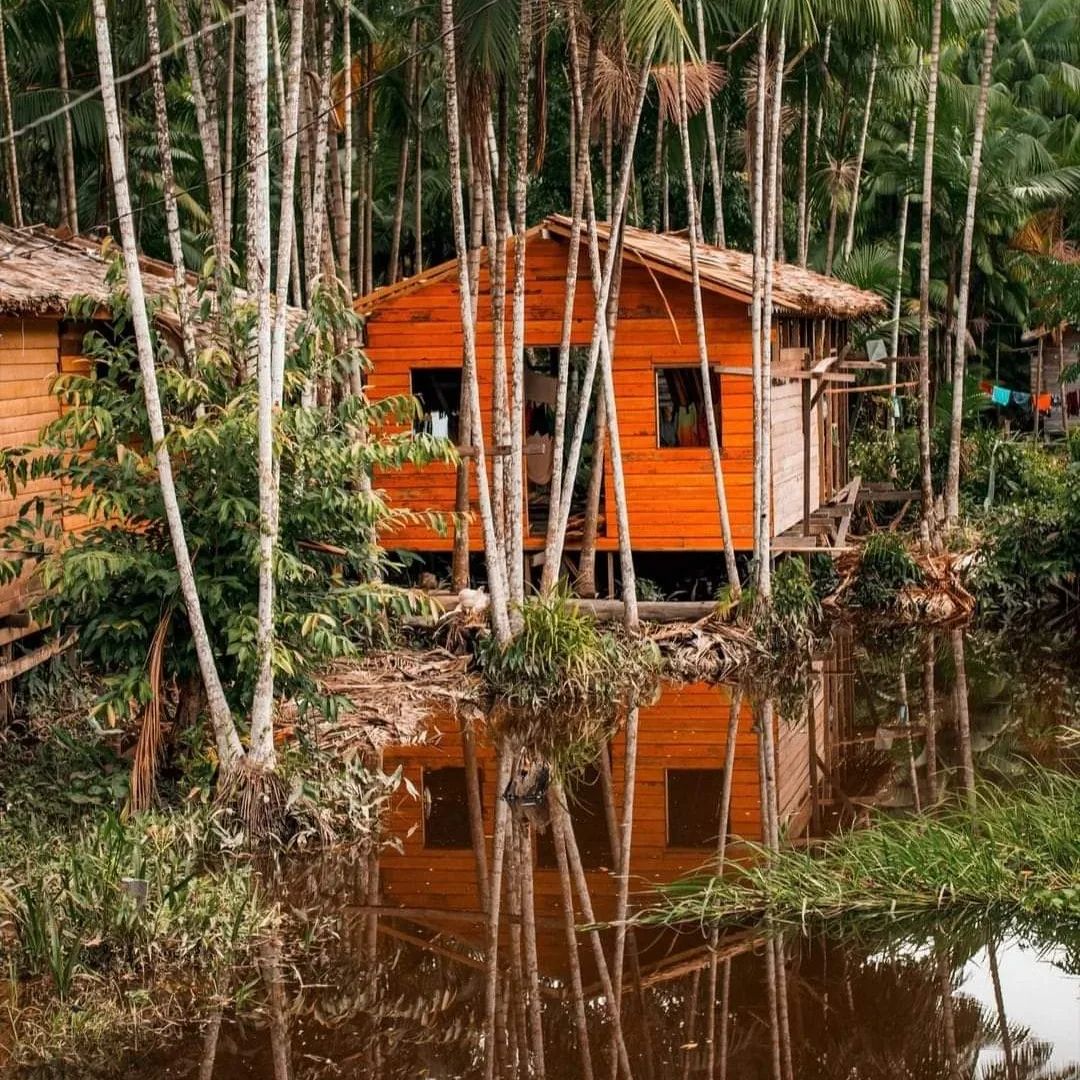 Amazônia pode ser preservada com  esforços conjuntos e integrados. As unidades de conservação e Territorios tradicionais têm papel fundamental no desenvolvimento sustentável da regional.

#paisagem #ribeirinhos #natureza  #paisagemAmazonica #amazônia
 
📸 Toninho Castro
