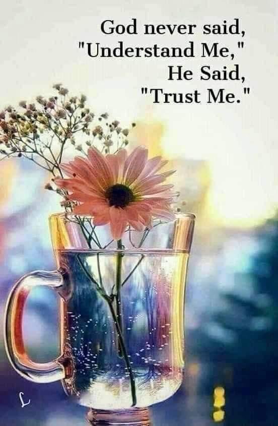 The Redneck Gospel (@matthew223540) on Twitter photo 