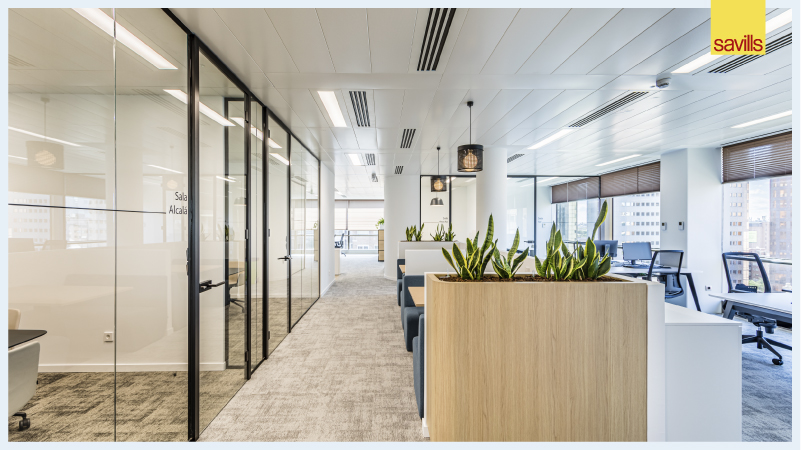 Savills_es's tweet photo. Ipsen Pharma eligió a Savills para que le ayudáramos en el proyecto de cambio de sus oficinas. Misión cumplida 360º: Arquitectura con la colaboración de #FacilityManagement junto con #Oficinas y #OccupierSolutions 

📸 https://t.co/TPupSGiNGM

#JuevesDeArquitectura #Madrid https://t.co/fhJfcYOhqp