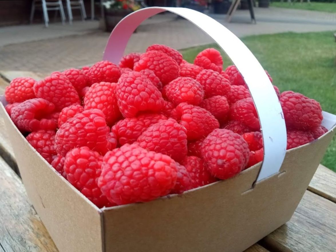 Primrose Vale Autumn Update - mailchi.mp/57fd3b3bc645/p…