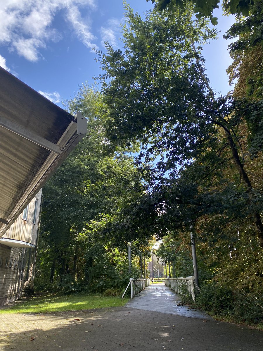 Karen Ronan CIS, CITP tweet media