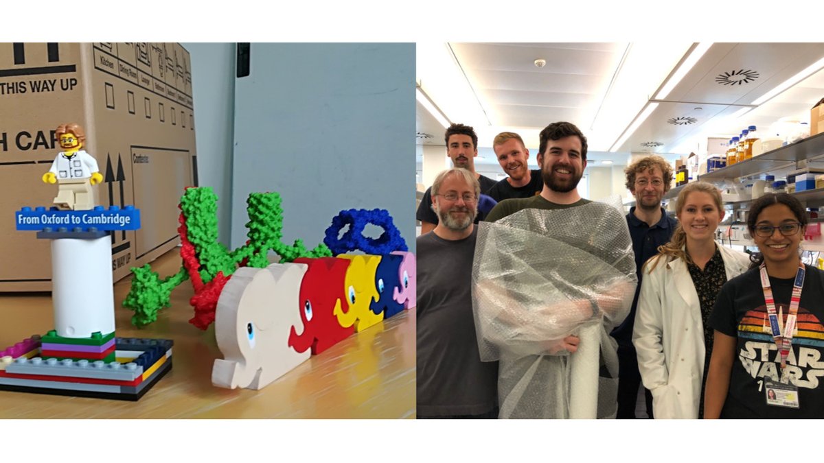 A new home and kilometres of bubble-wrap:
excited to announce that the lab has now arrived at Cambridge University- thanks to all the team for their efforts!
