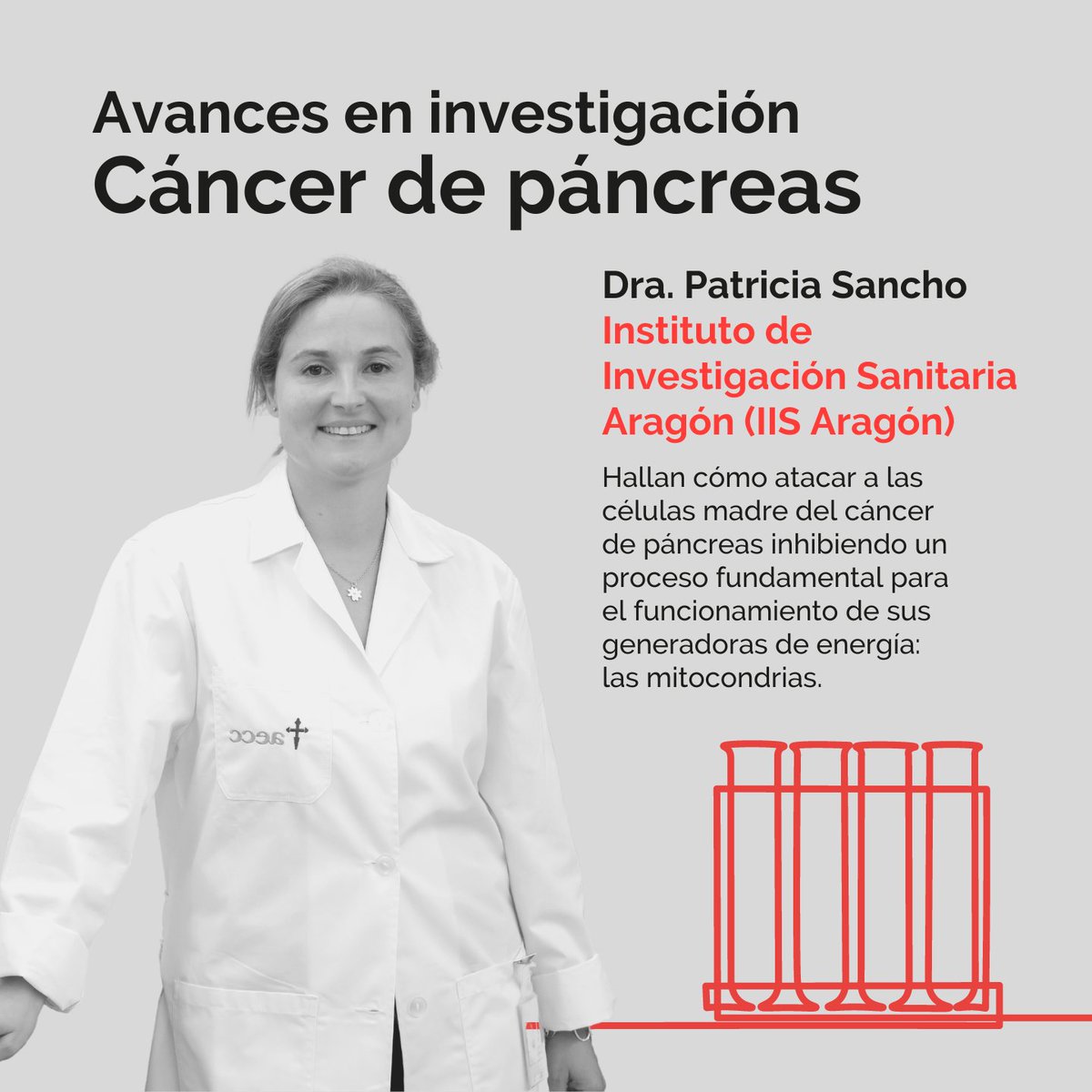 ContraCancerEs's tweet photo. “El cáncer de páncreas es uno de los cánceres más agresivos, y con la tasa de supervivencia más baja. Como no es un cáncer muy frecuente la investigación ha quedado muy por detrás de otros tipos de cáncer y los avances han sido mucho menores” Dra. Sancho (@psancholab-@IISAragon) https://t.co/2Hbe3R1uD3