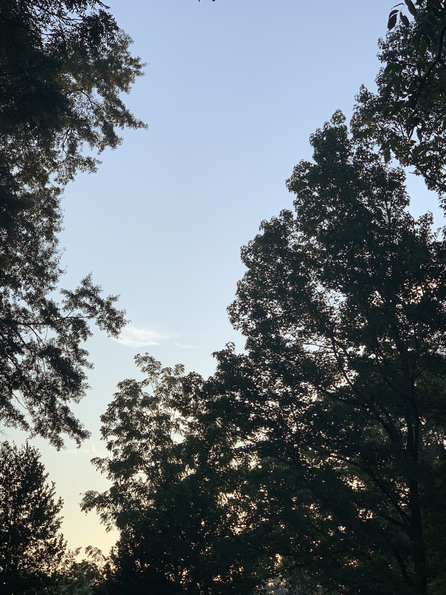 Good morning, Columbus! #ColumbusGA #mydailyphoto #09/08/2022 #2022project #clearbluesky #sunrisingthroughthetrees #coolbuthumid #60%chanceofrainforecast #nobreeze #birdswakingup #cicadasloud #neighborsdogsbarking