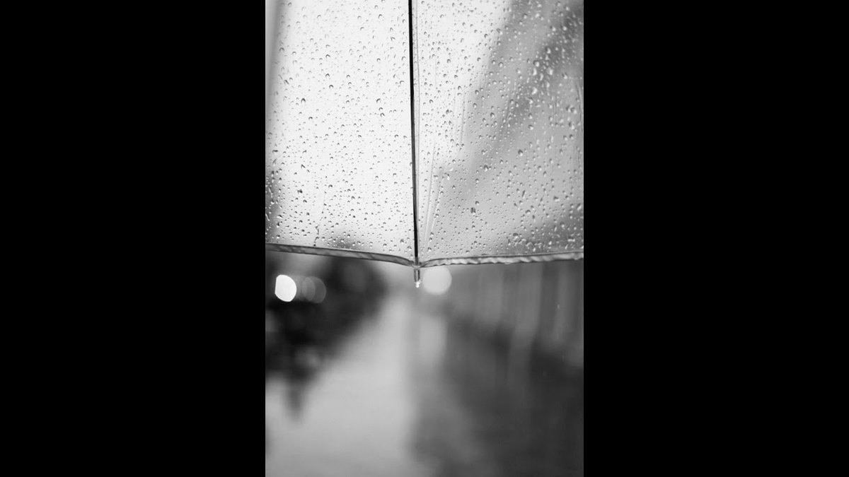 ambiencesound_'s tweet photo. [Rain falling on an umbrella] The sound of rain has been released on YouTube.
【傘に降る雨】雨の音をYouTubeにて公開致しました。

URL
https://t.co/kBDYZeIJtw

#雨の音
#雨
#rainsounds
#rain
#ambience
#ambiencesound
#環境音チャンネル 
#睡眠用 
#rainsoundforsleeping https://t.co/RMNCcjzcoL