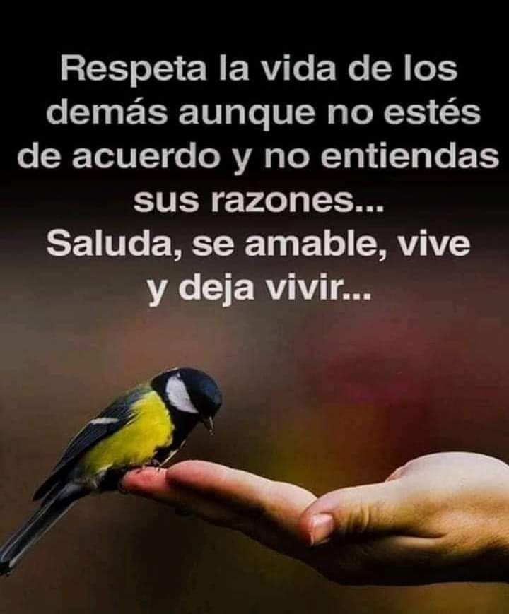 LuisaLuparo's tweet photo. https://t.co/7f0BPw234O