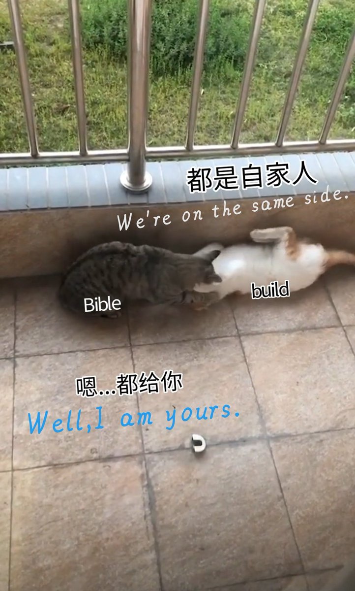 laetitialiu3296's tweet photo. Bible &amp;Build or  Grey&amp;Mino😍😍😍
#BibleBuild 
@biblesumett 
@Buildbuilddd https://t.co/EX8JjifEtz