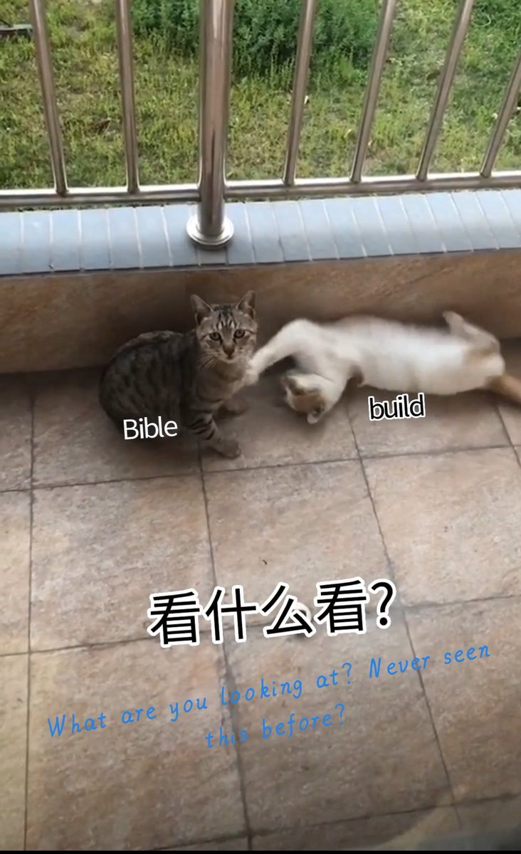 laetitialiu3296's tweet photo. Bible &amp;Build or  Grey&amp;Mino😍😍😍
#BibleBuild 
@biblesumett 
@Buildbuilddd https://t.co/EX8JjifEtz