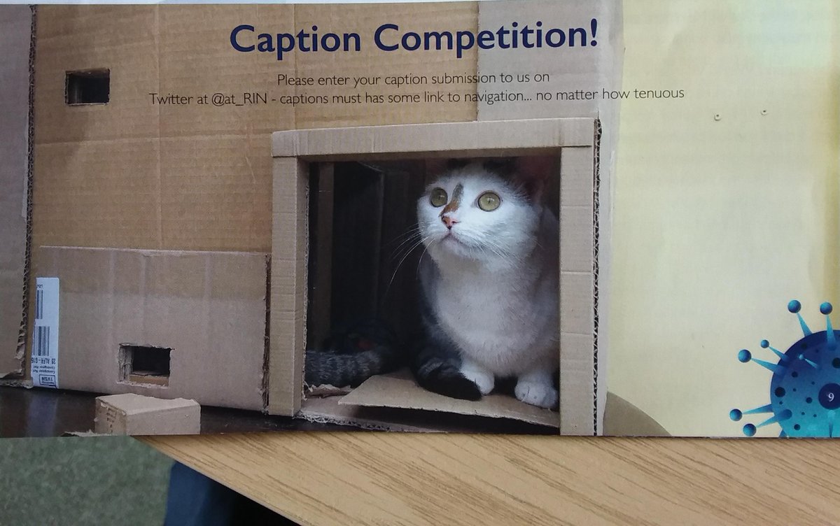 QuantumBirds's tweet photo. @at_RIN Caption competition "My life lacked direction until I unboxed my new CatNav" https://t.co/R31p9w1lnr