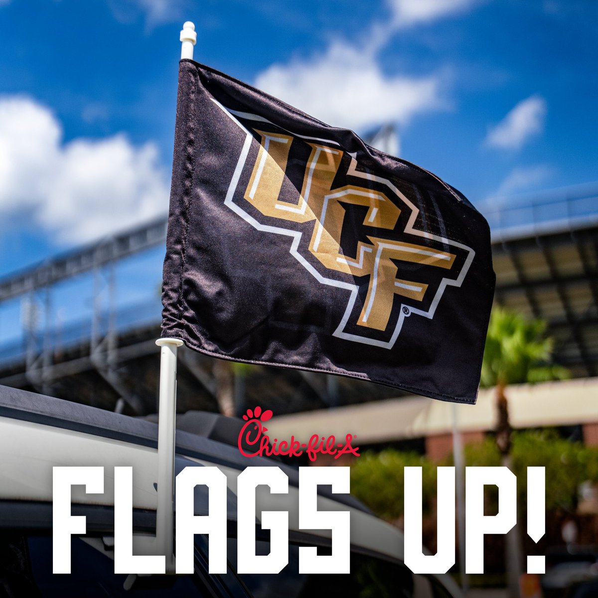 🗣Let’s see those flags, Knight Nation!🏴

#ChargeOn
