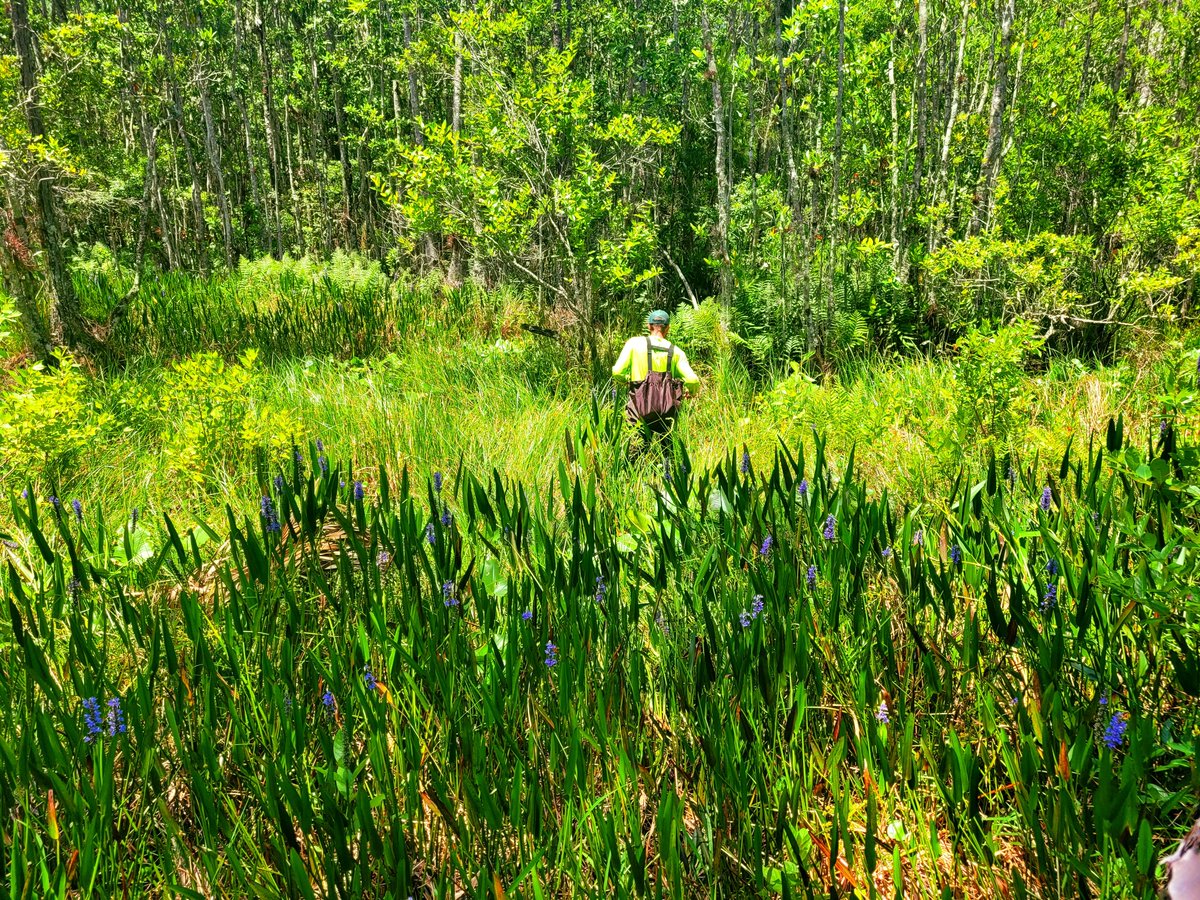 GreenSource EP, Inc. tweet media