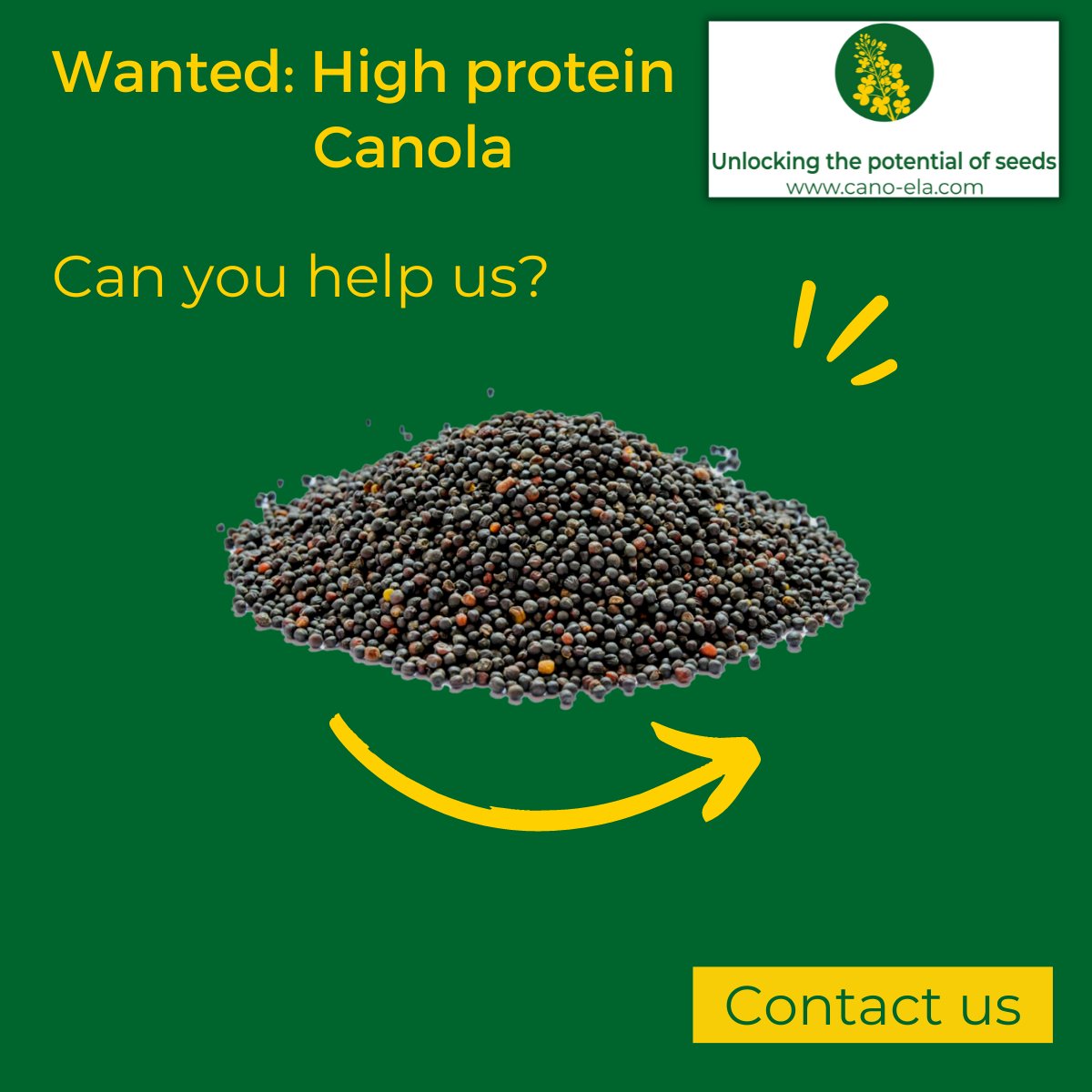 Cano_elaBV's tweet photo. We are looking for canola with a protein content higher than 24%.
Are you a seller who can supply us with a volume of between 20kg and 400kg?
Please contact our Commercial Director Benjamin Maclean at benjamin@cano-ela.com if you can help with supplying these seeds to us. https://t.co/zjhOTLyi1A