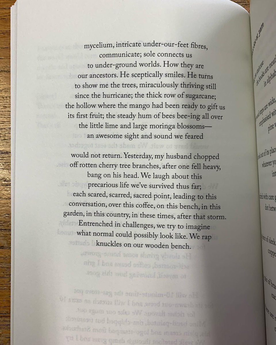 Carcanet's tweet photo. Sorhaindo's wit and linguistic inventiveness are clear in her reflections on the art and the arts, her dramatization of the Dominica-born novelist Jean Rhys's voice, and her reflections on the natural world—a natural world different from others but continuous with them. https://t.co/A5SojYPy5o