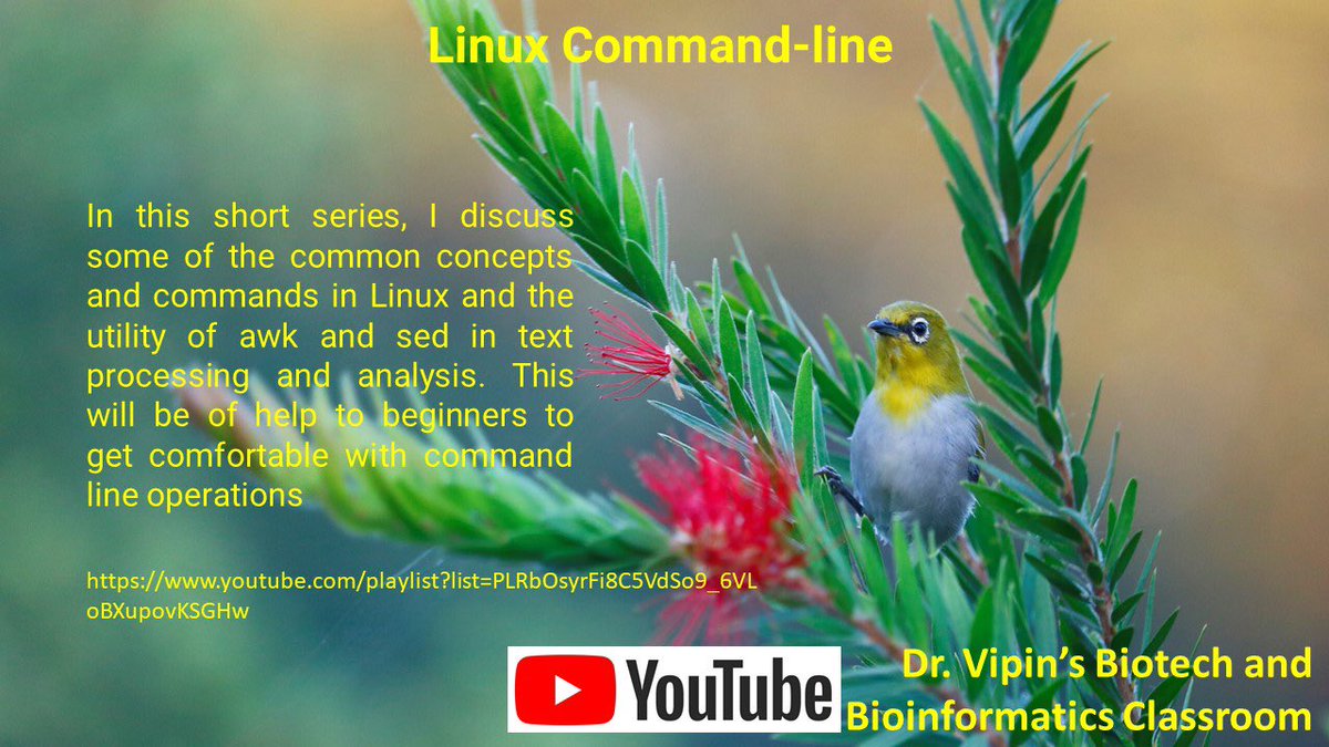 dr_vipin_singh's tweet image. When you are a teacher, a programmer, a photographer, a bird lover and a YouTuber #Linux #command_line #YouTube #vipinsclick #birdphotography #programming