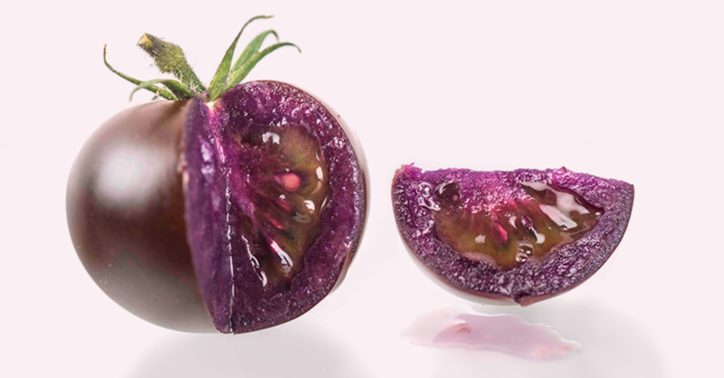 TheSainsburyLab's tweet photo. NEWS: Purple GM tomatoes reach major milestone in US

Norfolk Plant Sciences Ltd welcomed the decision by the USDA which should allow US home growers to purchase seeds and grow the nutritionally enhanced high-anthocyanin @BigPurpleTomato from spring '23.