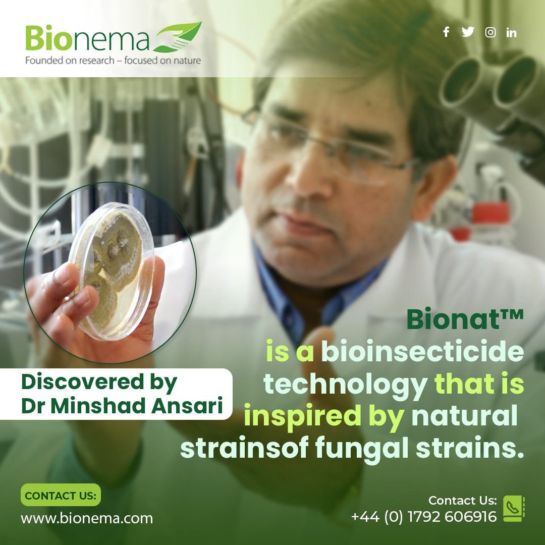 Bionema's tweet photo. #Bionat™, a #bioinsecticide #technology, is inspired by #naturalstrains of #fungal found in nature and discovered by Dr Minshad Ansari.
Contact Us:- https://t.co/pHBPQJqHXM
#biocontrol #bioprotection #biopesticide #biologicalcontrol #Biopesticidesmanufacturers #ecofriendly https://t.co/xGqCLumTJS