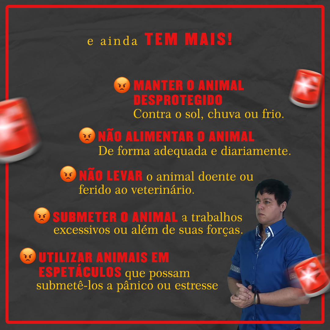 Para conhecer mais sobre o autor do post, acesse:

linktr.ee/FalcaoEmmanuel