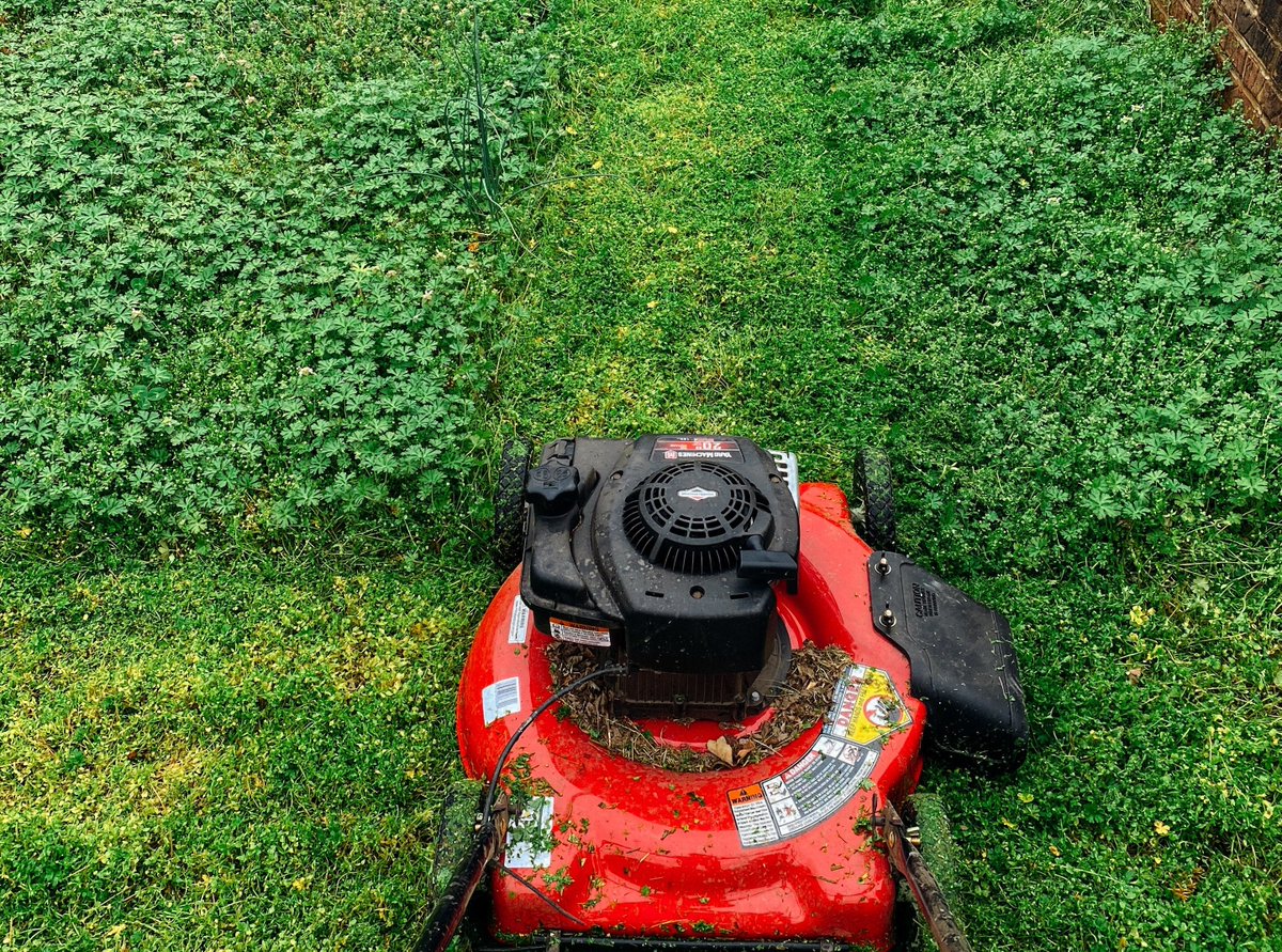 RCCCedu's tweet image. Calling all backyard mechanics... Our small engine repair course is back, and you can learn to work the kinks out of that finicky lawnmower!🔧 Classes will be held Monday/Wednesday evenings, Oct. 17-Nov. 21. Register by calling 704-216-7222.  #SmallEngineRepair #BackyardMechanic