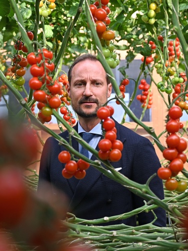 BBBLSolutions's tweet photo. Yesterday HRH Crown Prince Haakon of Norway visited The Magic Factory &amp; our BBBLS Energy Saving Greenhouse! https://t.co/ap0NsDLGPY https://t.co/ulw2MNL2r3