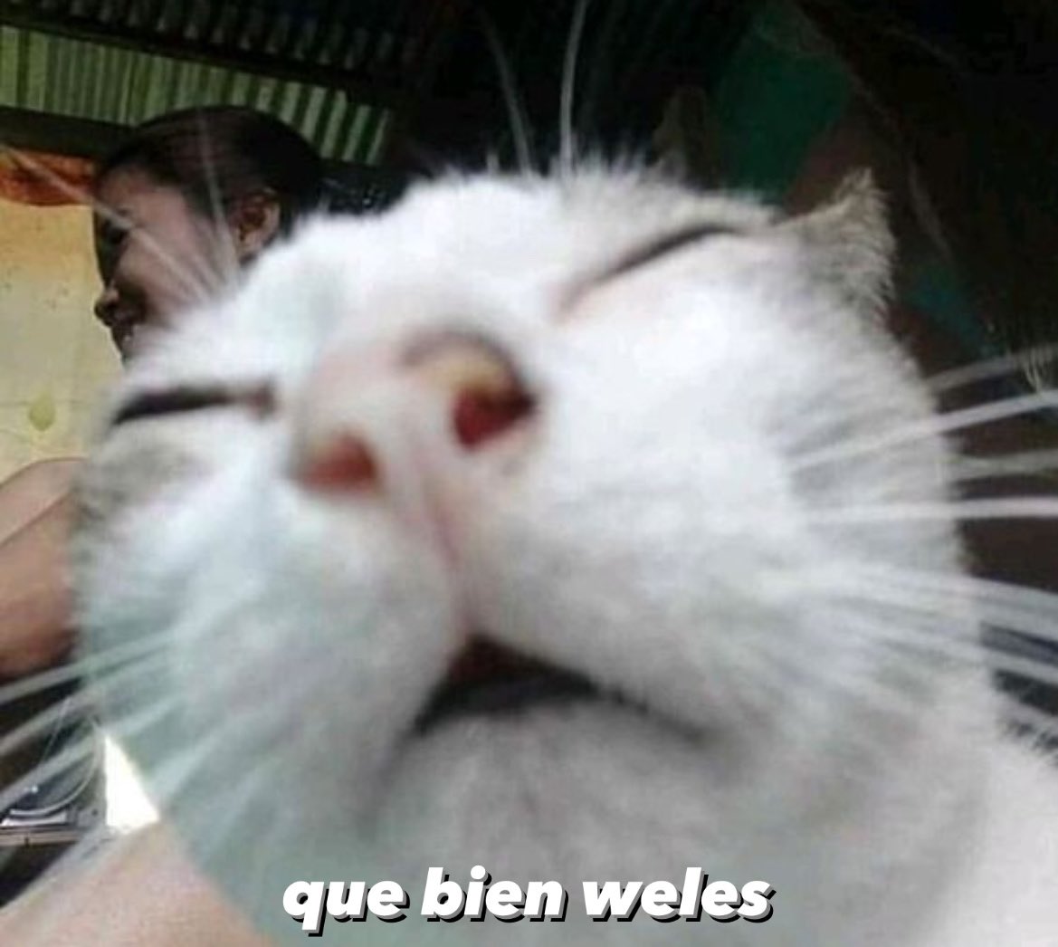 kansaita_'s tweet photo. mi pareja: *me abraza*

automáticamente yo: https://t.co/TYSJpprMdf