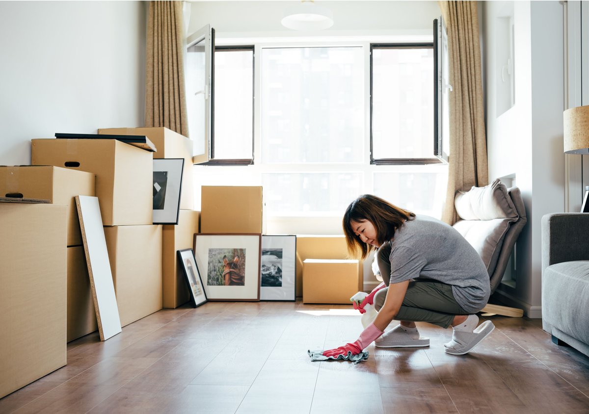 chelsa_smith1's tweet photo. Need House Cleaning Services in #Florida? Contact https://t.co/K1eDfmFK0y for All Kind of Cleaning Services at Cheap Price.

#CleaningCompanyFlorida  #CleaningServiceFlorida #HouseCleaningFlorida https://t.co/BQeGPVevOX