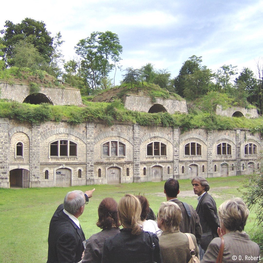 Fort de Feyzin tweet media