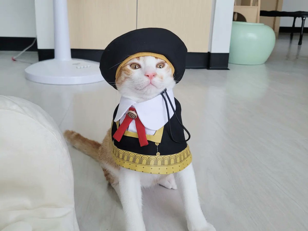 onpayongcats's tweet photo. แก๊งค์สีหวานละมุน 🎓✨
#แมว #猫 #cat #petplease #EdenAcademy #SpyxFamily https://t.co/ZuCkHZa6yj