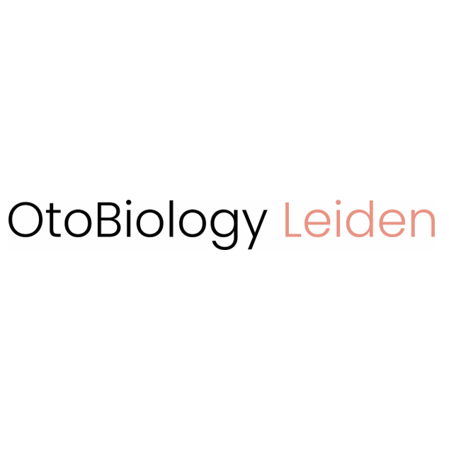 Job alert! OtoBiology Leiden is looking for a PostDoc in the field of stem cells, organoids and inner ear research. 
Come join our great team, and our state-of-the-art research: bitly.ws/u6fJ

#vacancy #postdoc #innerear #organoid #stemcell #LUMC #reNEW