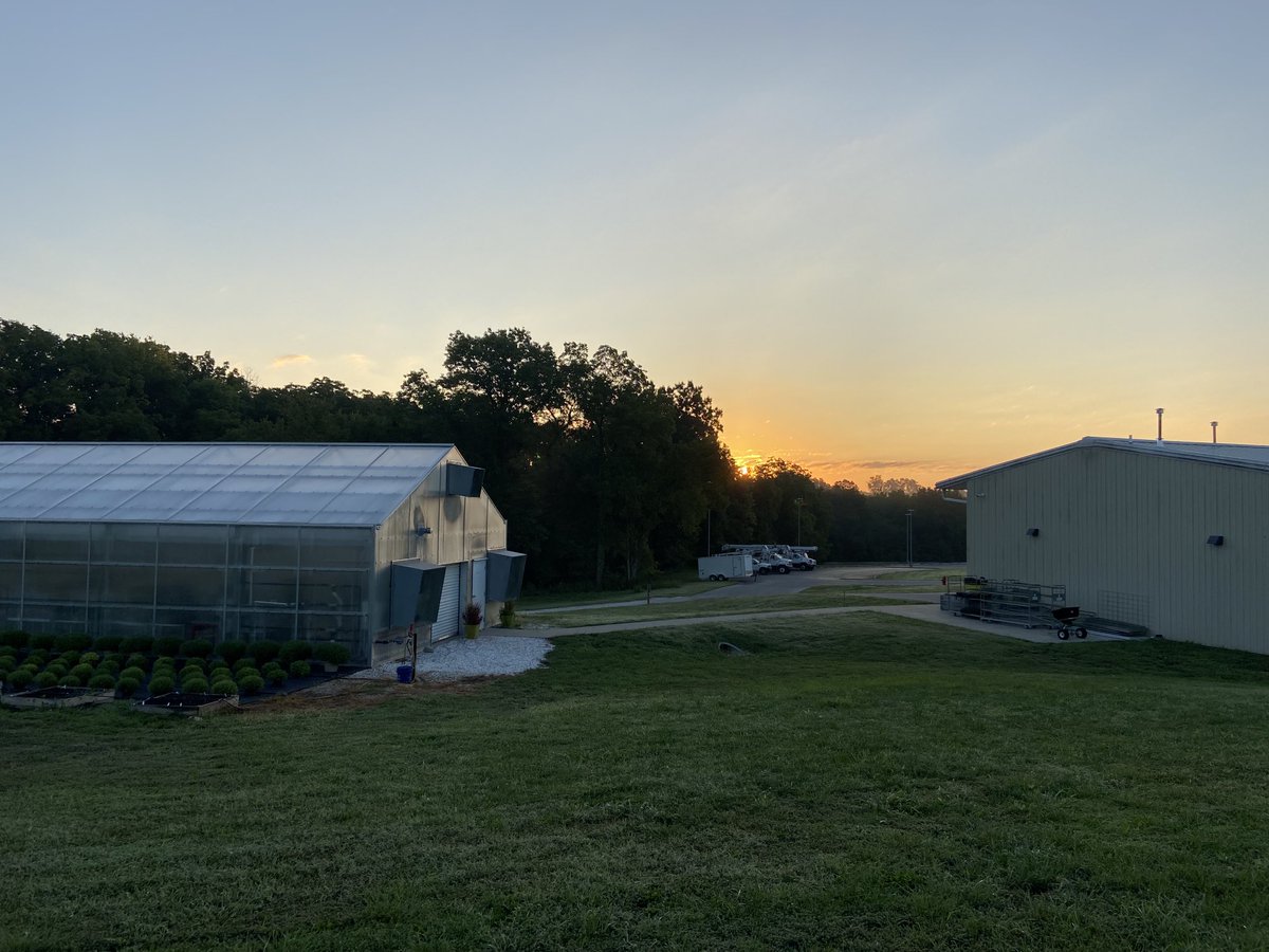 DonnaRebmann's tweet photo. Beautiful morning at OTC’s Richwood Valley Campus. Can’t wait for their annual mum sale! Looks like we’re close to blooming🌺 https://t.co/TVSCyaLrvC