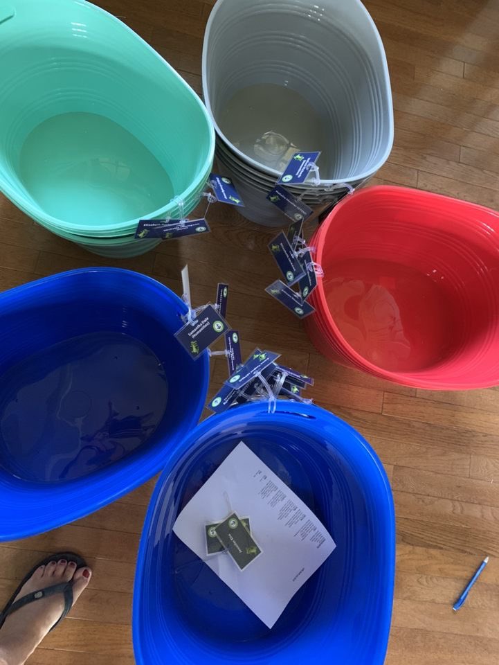 Lake Windward Elementary PTO tweet media