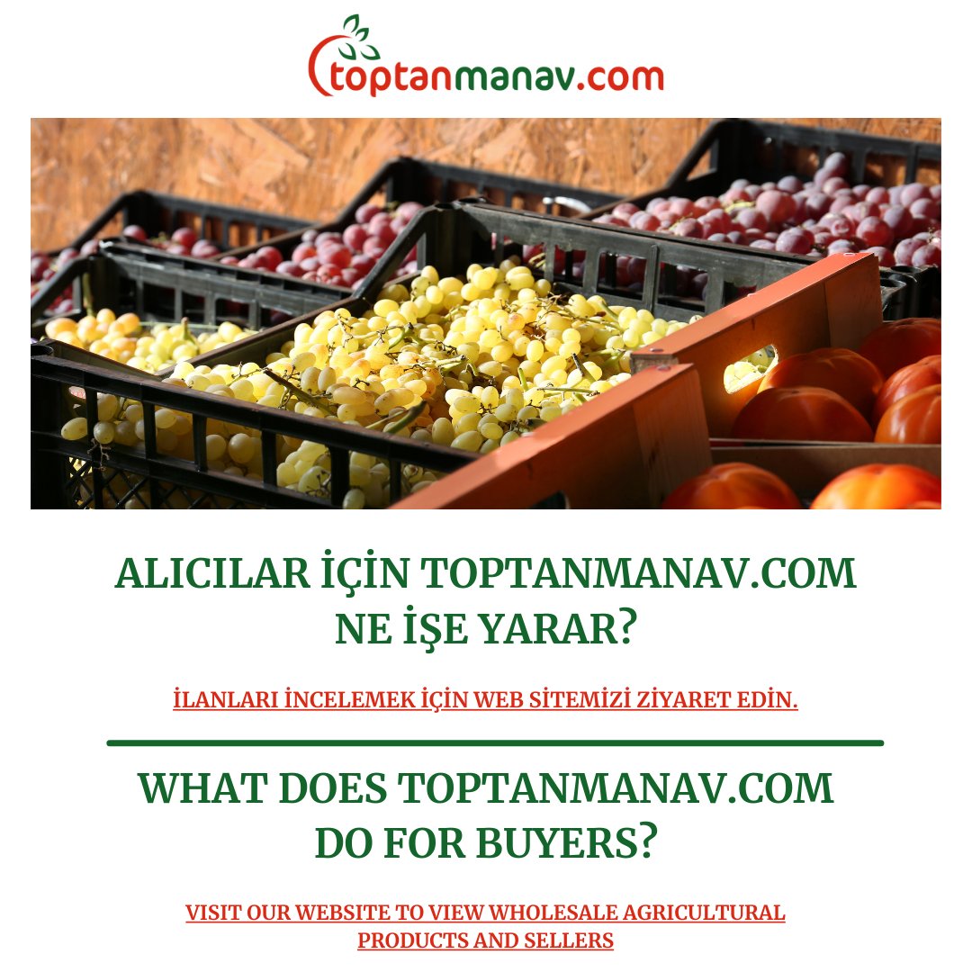 toptanmanav's tweet photo. Toptan meyve&amp;sebze, kuru meyve&amp;sebze, tahıl&amp;bakliyat, baharat&amp;çaylar ya da endüstriyel ürünler mi arıyorsunuz? 

1. Web sitemizi ziyaret edin.
2. Aradığınız ürünü filtreleyin ve görüntüleyin.
3. Doğrudan satıcılarla iletişime geçin.

https://t.co/aX1KjZ7QRx

#toptanmeyve https://t.co/Bw8yjQwIcs