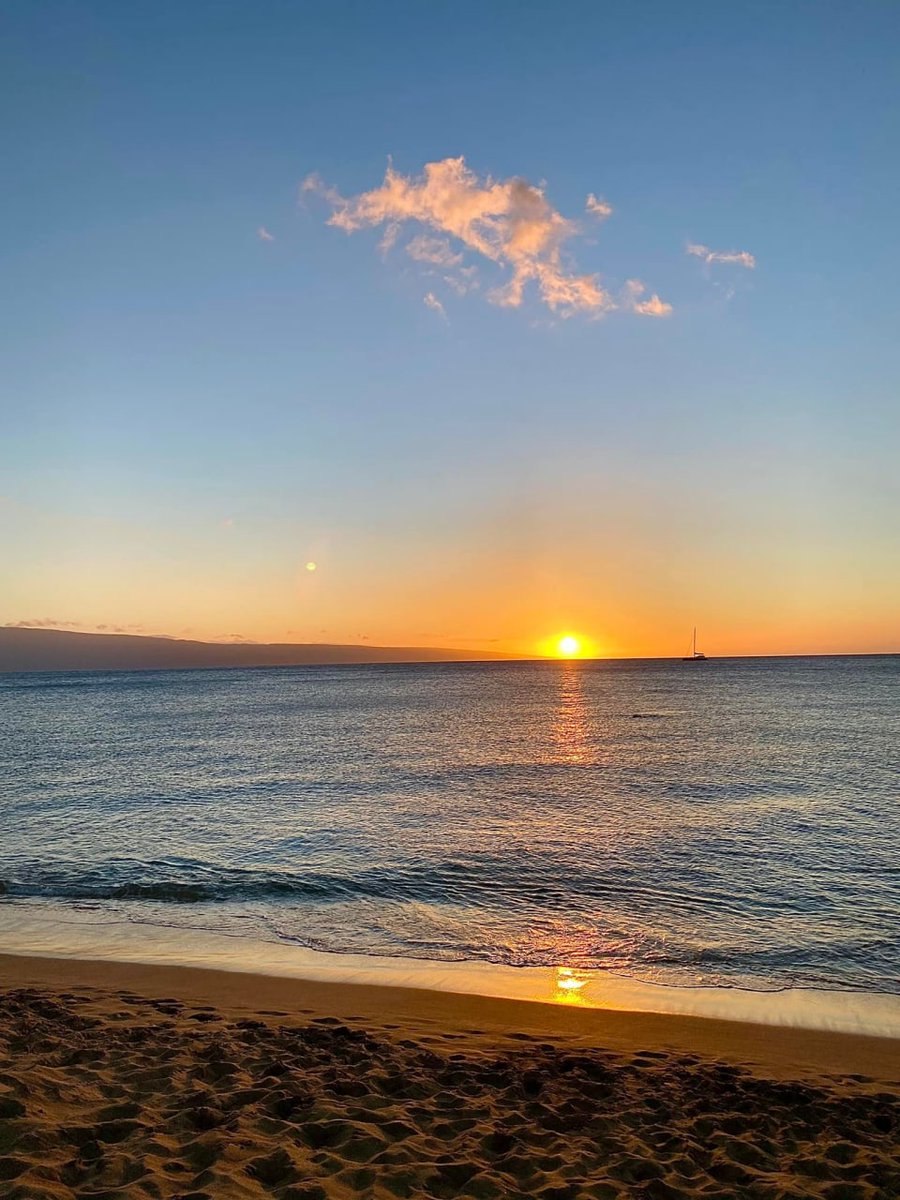 Annabella Wallis (@traciek29998071) on Twitter photo 