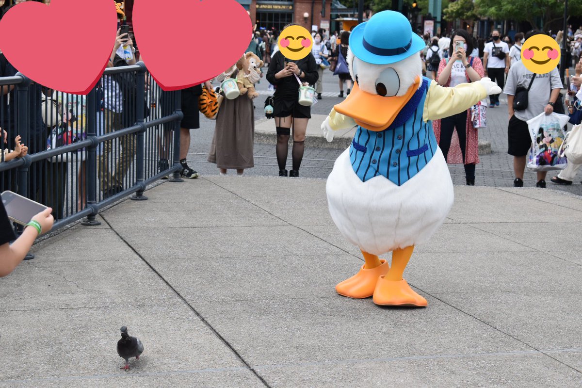 Donald_69s2's tweet photo. ハトと遊ぶドナルド🤩 https://t.co/uZUEGc17lQ