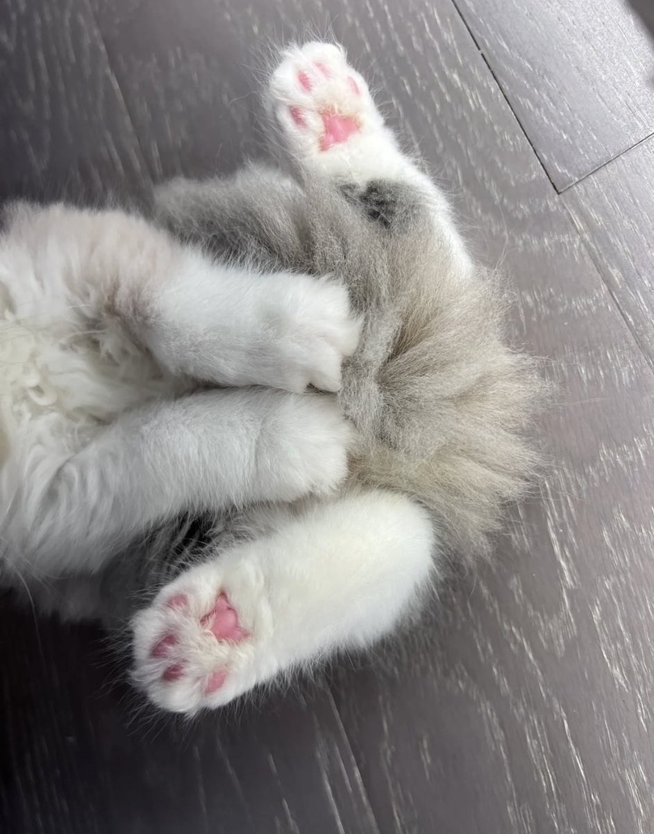 piinkimi_'s tweet image. 