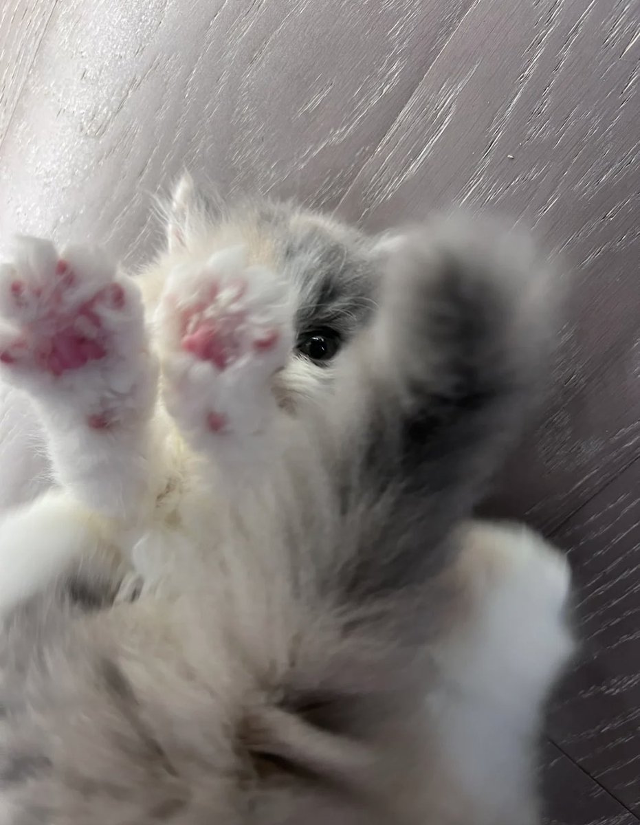 piinkimi_'s tweet image. 